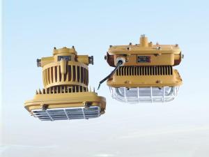 DGS80-127B（D）系列矿用隔爆型泛光灯